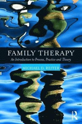 bokomslag Family Therapy: An Introduction to Process, Practice and Theory