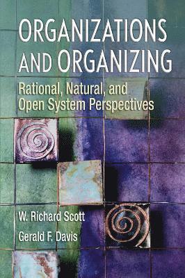 bokomslag Organizations and Organizing