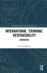 bokomslag International Criminal Responsibility