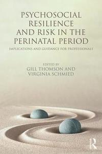 bokomslag Psychosocial Resilience and Risk in the Perinatal Period