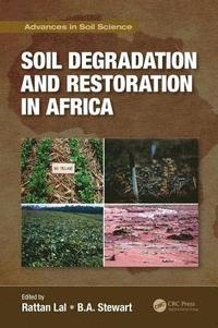 bokomslag Soil Degradation and Restoration in Africa