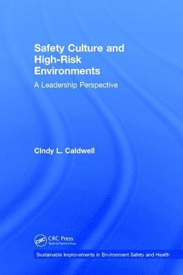 bokomslag Safety Culture and High-Risk Environments