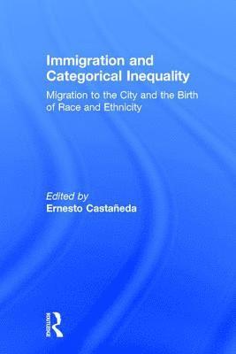 bokomslag Immigration and Categorical Inequality