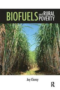 bokomslag Biofuels and Rural Poverty