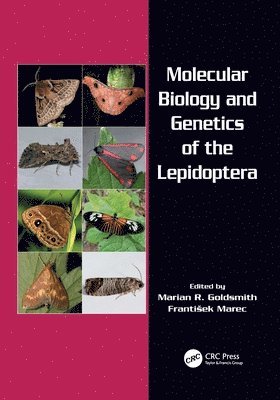 bokomslag Molecular Biology and Genetics of the Lepidoptera