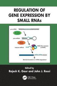 bokomslag Regulation of Gene Expression by Small RNAs