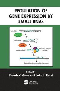 bokomslag Regulation of Gene Expression by Small RNAs