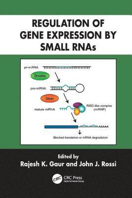bokomslag Regulation of Gene Expression by Small RNAs
