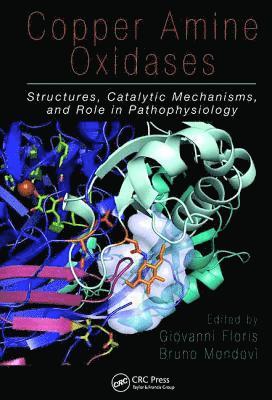 Copper Amine Oxidases
