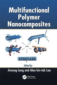 bokomslag Multifunctional Polymer Nanocomposites