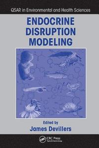 bokomslag Endocrine Disruption Modeling