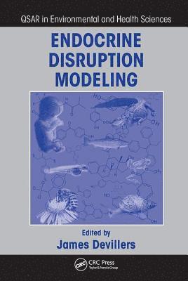 bokomslag Endocrine Disruption Modeling