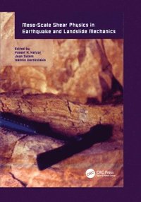 bokomslag Meso-Scale Shear Physics in Earthquake and Landslide Mechanics