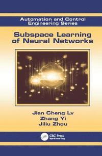 bokomslag Subspace Learning of Neural Networks