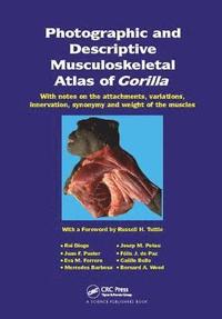 bokomslag Photographic and Descriptive Musculoskeletal Atlas of Gorilla