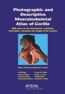 Photographic and Descriptive Musculoskeletal Atlas of Gorilla 1