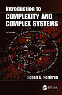 bokomslag Introduction to Complexity and Complex Systems