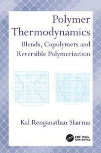 bokomslag Polymer Thermodynamics