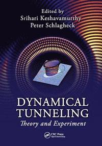 bokomslag Dynamical Tunneling