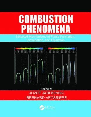 bokomslag Combustion Phenomena