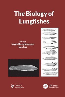 bokomslag The Biology of Lungfishes