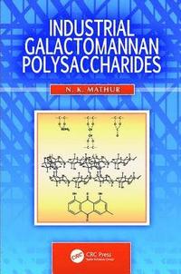 bokomslag Industrial Galactomannan Polysaccharides