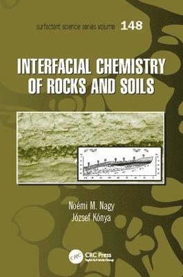 Noemy Nagy, József Kónya - Interfacial Chemistry of Rocks and Soils, Häftad