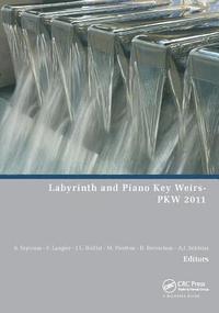 bokomslag Labyrinth and Piano Key Weirs