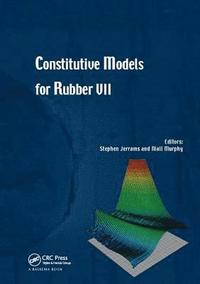 bokomslag Constitutive Models for Rubber VII