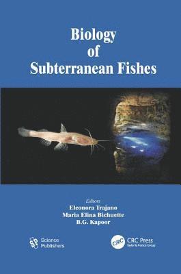 bokomslag Biology of Subterranean Fishes