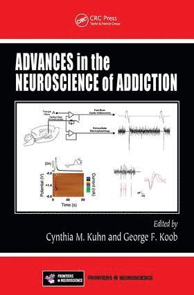 bokomslag Advances in the Neuroscience of Addiction