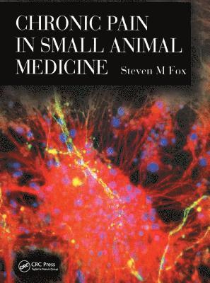 bokomslag Chronic Pain in Small Animal Medicine