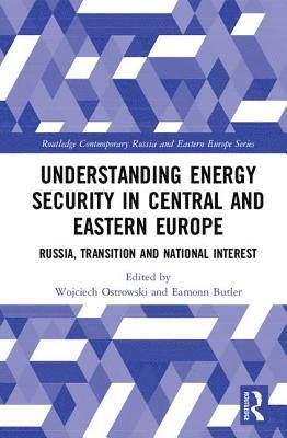 bokomslag Understanding Energy Security in Central and Eastern Europe