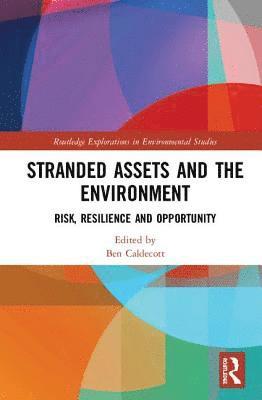 bokomslag Stranded Assets and the Environment
