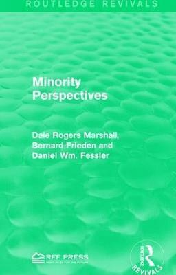 bokomslag Minority Perspectives