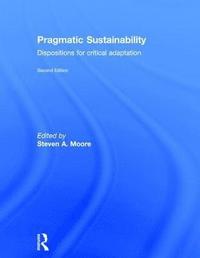 bokomslag Pragmatic Sustainability
