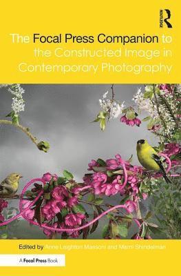 bokomslag Focal Press Companion to the Constructed Image in Contemporary Photography