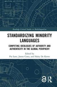 bokomslag Standardizing Minority Languages