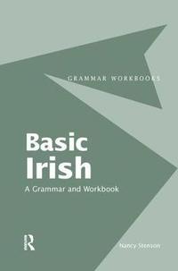 bokomslag Basic Irish: A Grammar and Workbook