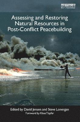bokomslag Assessing and Restoring Natural Resources In Post-Conflict Peacebuilding
