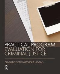 bokomslag Practical Program Evaluation for Criminal Justice