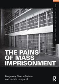 bokomslag The Pains of Mass Imprisonment