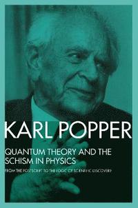 bokomslag Quantum Theory and the Schism in Physics
