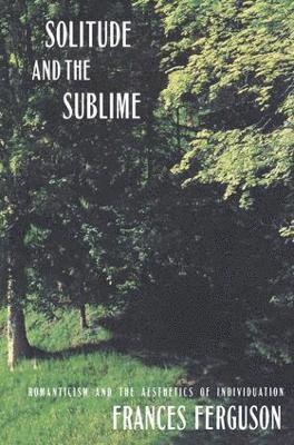 Solitude and the Sublime 1