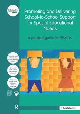 bokomslag Promoting and Delivering School-to-School Support for Special Educational Needs