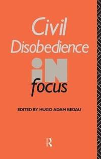 bokomslag Civil Disobedience in Focus