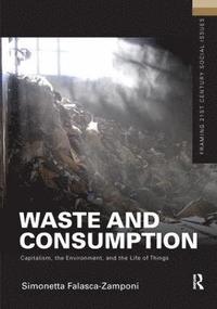 bokomslag Waste and Consumption