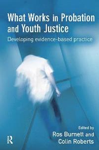 bokomslag What Works in Probation and Youth Justice
