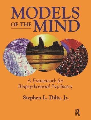 Stephen L. Dilts - Models of the Mind, Inbunden