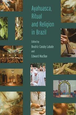 bokomslag Ayahuasca, Ritual and Religion in Brazil